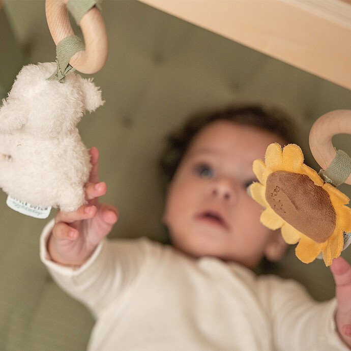 ARCHE D’ACTIVITES LITTLE FARM – LITTLE DUTCH – Image 4