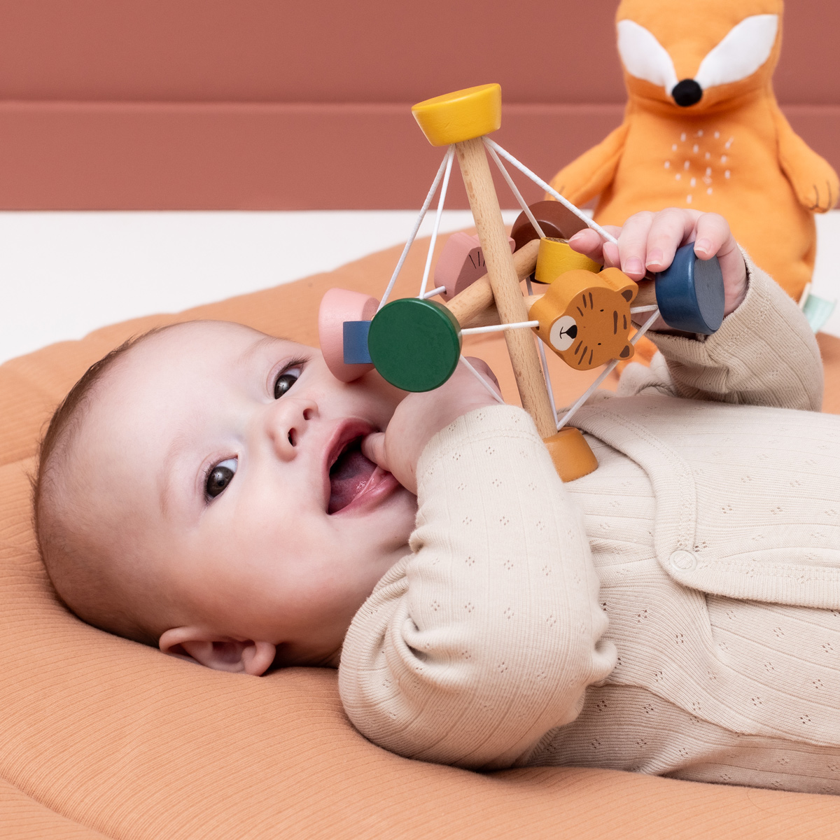 Balle d’activité – TRIXIE – Image 3