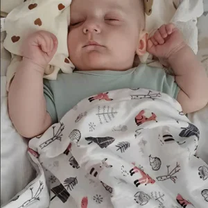 Couverture emmaillotage-|TeWinterBlanket|- Renard