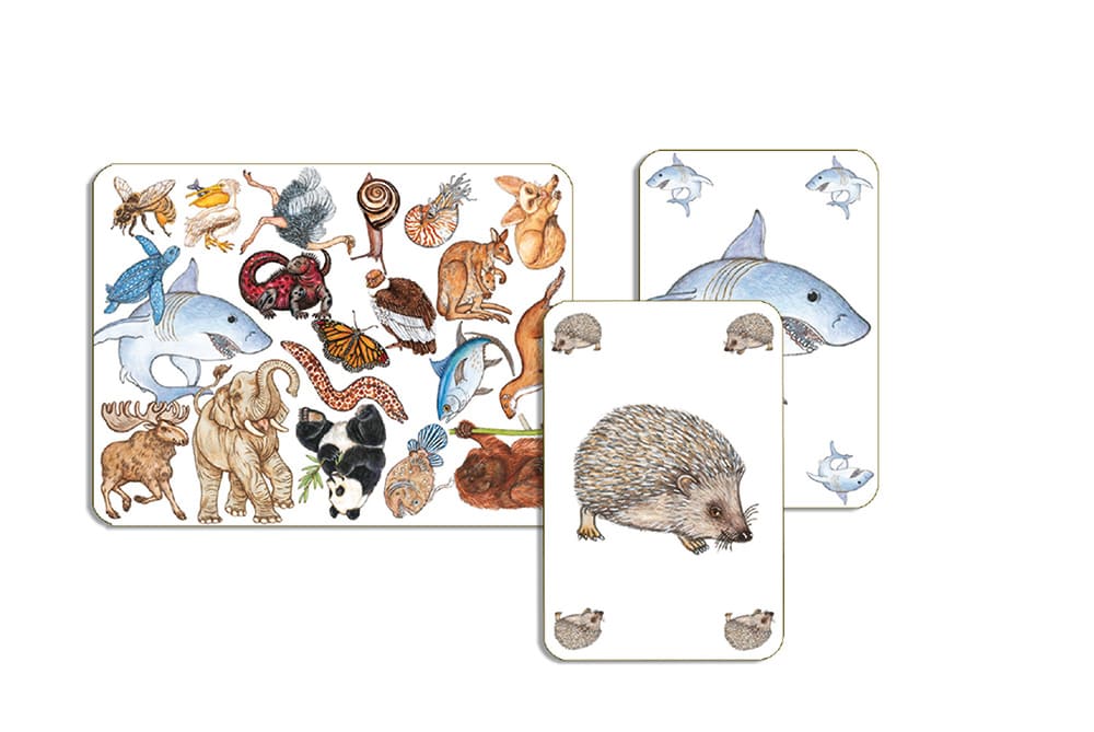 Jeu de cartes zanimatch observation & rapidité – DJECO – Image 2