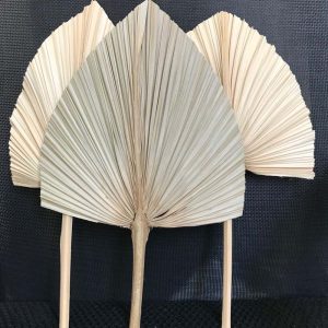 PALMITO 2 (Ajout de la variante Lot de 5)