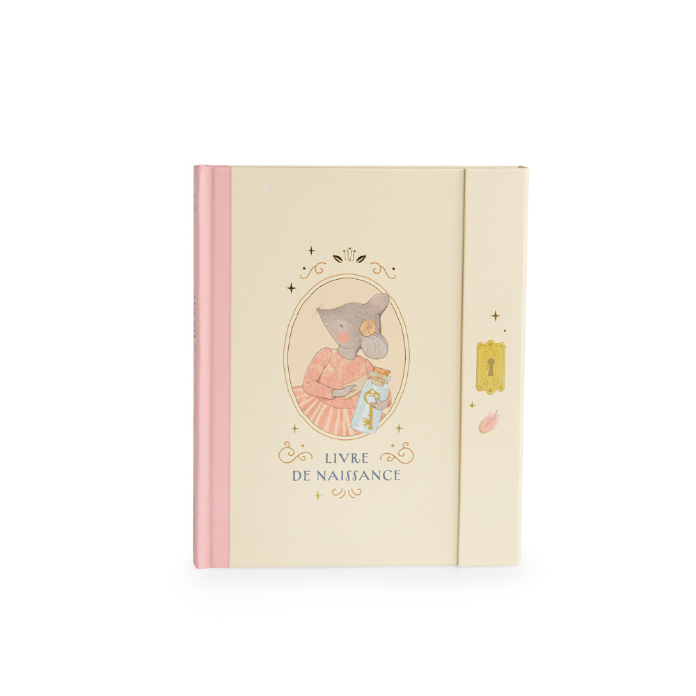 Livre de naissance La Petite École de Danse – MOULIN ROTY – Image 2