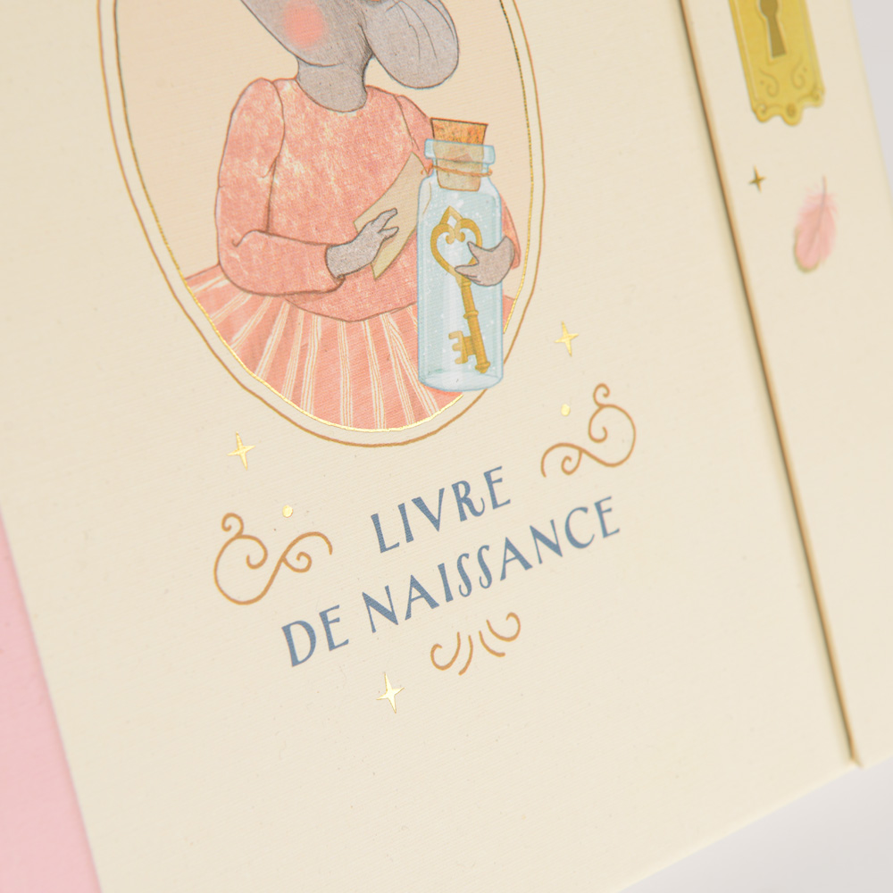 Livre de naissance La Petite École de Danse – MOULIN ROTY – Image 4