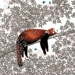 Carte panda roux – Titi Pinson