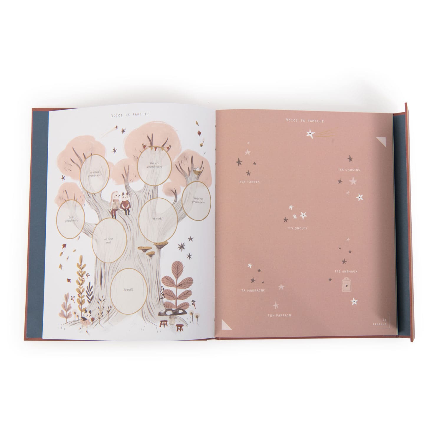 Livre de naissance – Après la pluie – MOULIN ROTY – Image 4