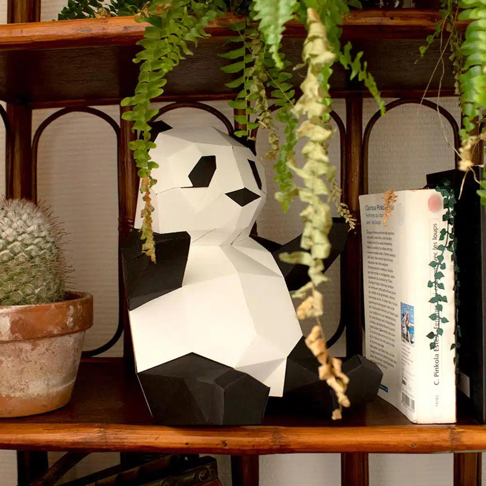 Babies Panda – Agent Paper – Image 2