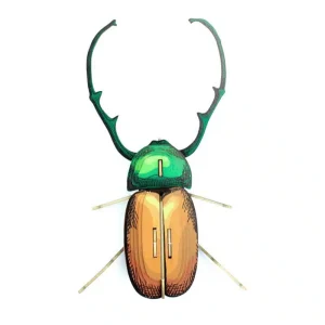 Calingratus en carton – Agent Paper