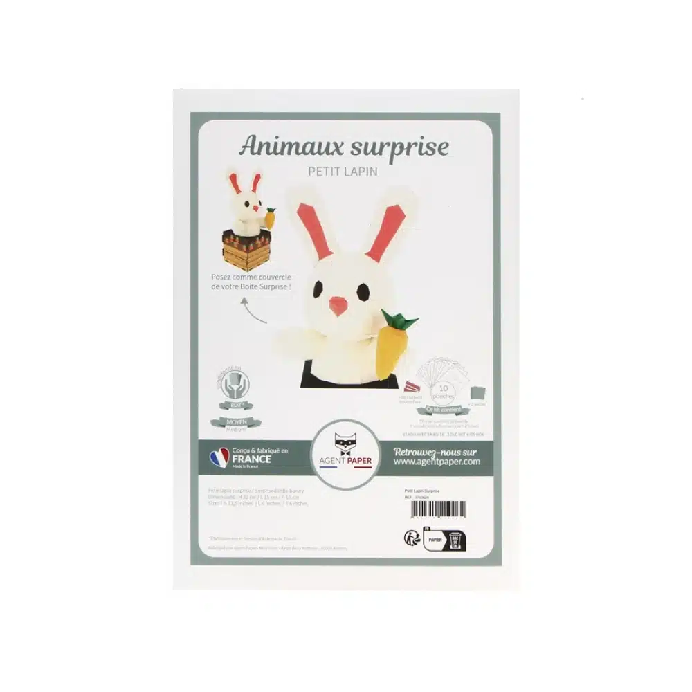 Trophée en papier 3D Animaux surprise Petit lapin avec boîte – Agent Paper – Image 5