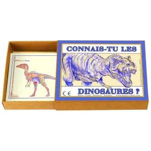 Connais-tu les dinosaures? – Marc Vidal