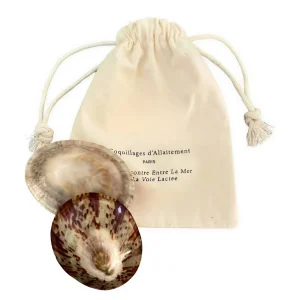 Coquillage nacre allaitement