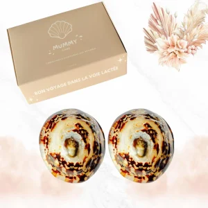 Coquille de nacre allaitement