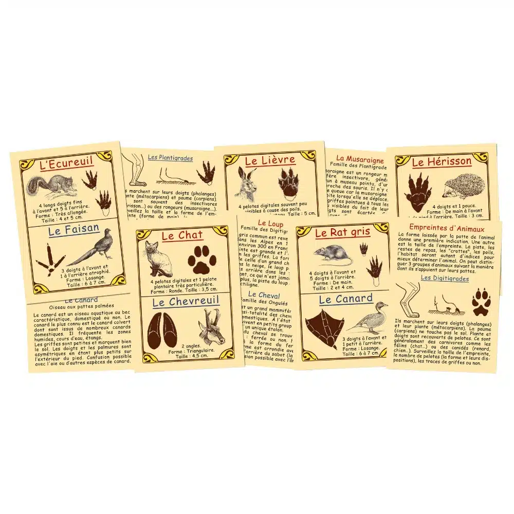 Empreintes d’animaux – Marc Vidal – Image 2