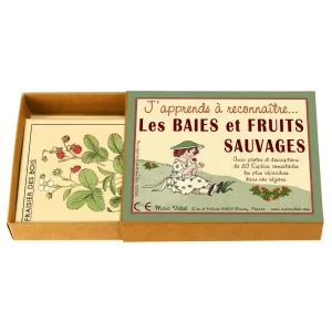 J’apprends à reconnaître les baies et fruits sauvages – Marc Vidal