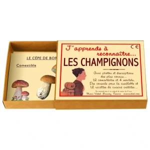 J’apprends à reconnaître les champignons – Marc Vidal