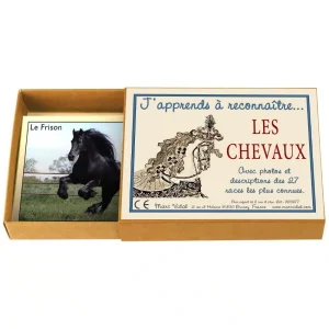 J’apprends à reconnaître les chevaux – Marc Vidal