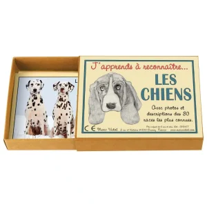 J’apprends à reconnaître les chiens – Marc Vidal