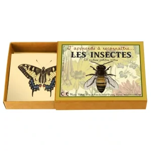 J’apprends à reconnaître les insectes et autres petites bêtes – Marc Vidal