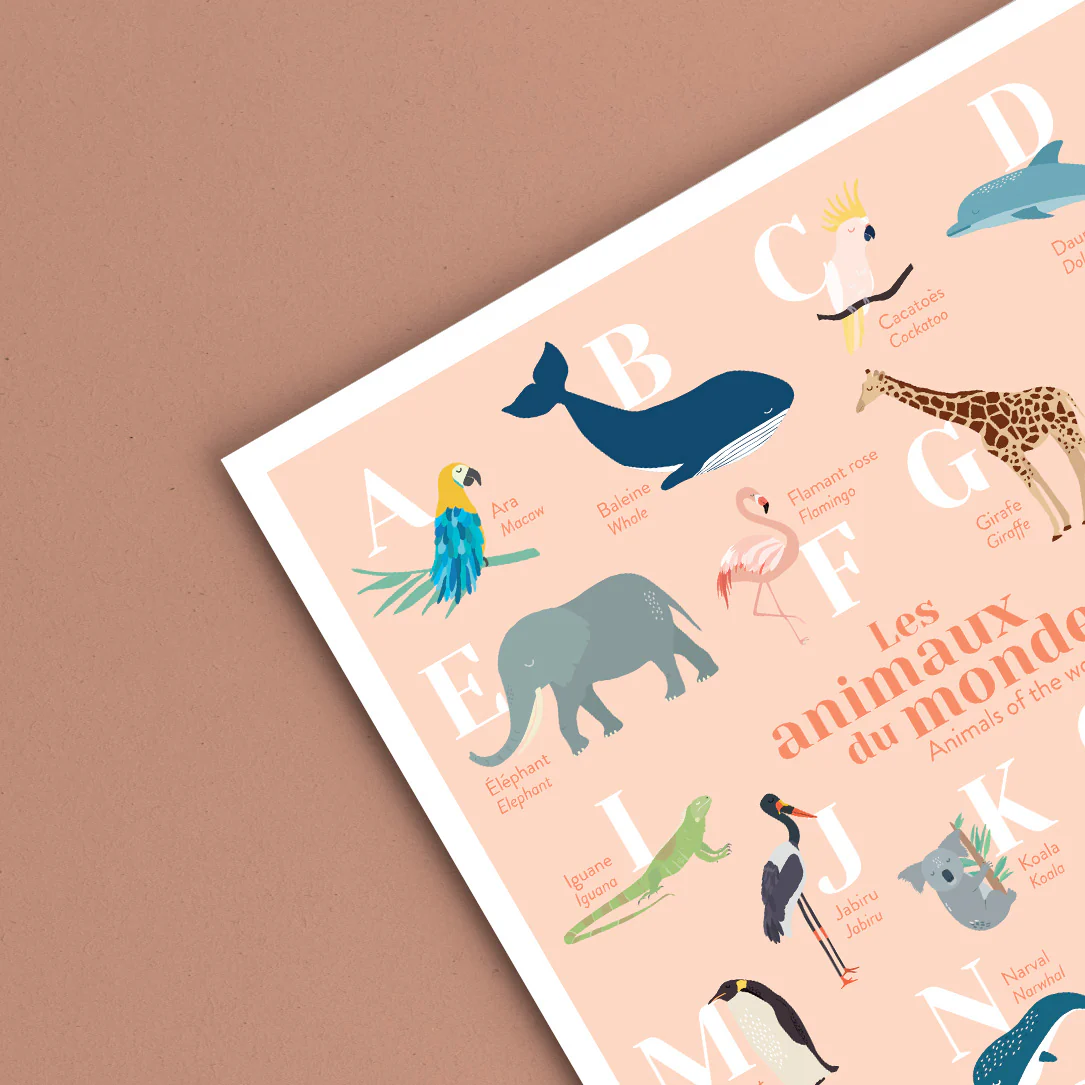 L'ABECEDAIRE DES ANIMAUX DU MONDE BILINGUE ANGLAIS – Image 4