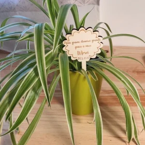Pieu de Plante personnalisé – Cadeau de fin d&rsquo;année