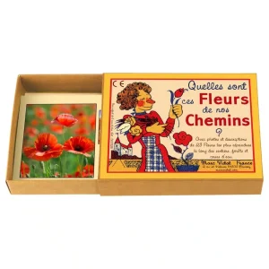 Quelles sont ces fleurs de nos chemins? – Marc Vidal