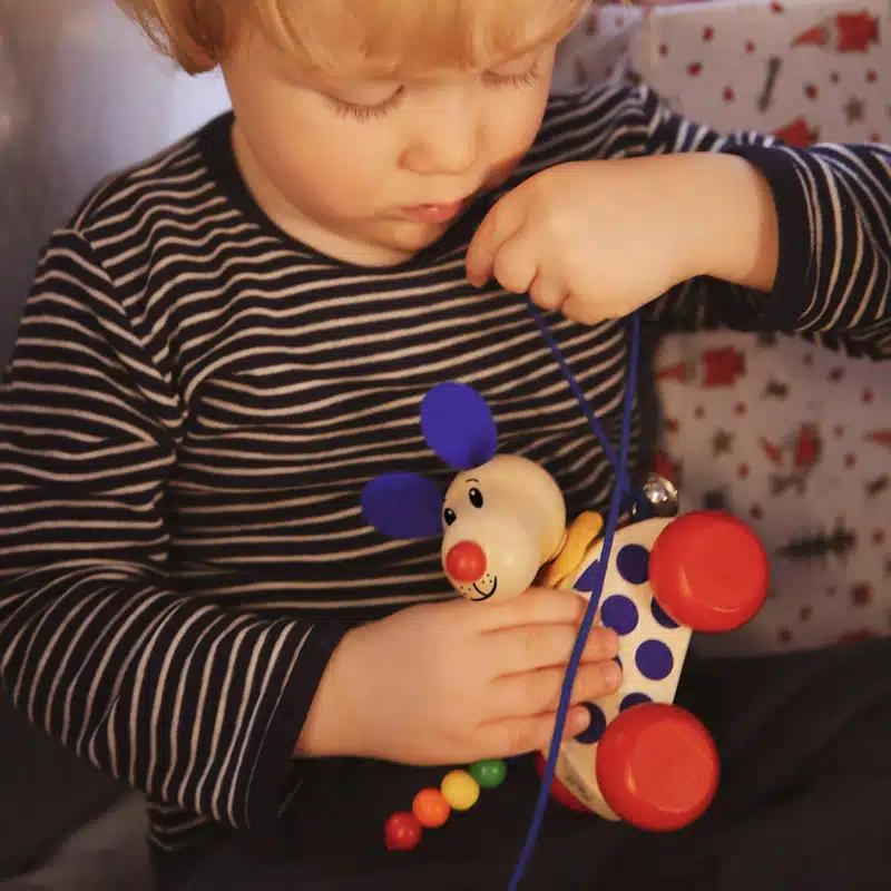 Nico le chien à tirer – Selecta – Image 5