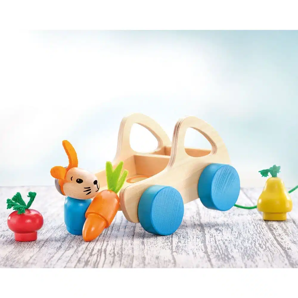 Verdurino lapin en voiture à tirer – Selecta – Image 2